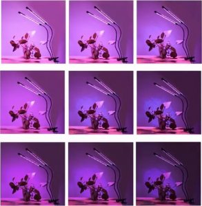 Gardlov Lampa 20 LED 2szt. do wzrostu roślin Gardlov 19241 9