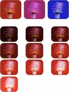 Gardlov Lampa 20 LED 4szt. do wzrostu roślin Gardlov 19388 9