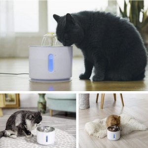 Purlov Filtr do fontanny/ poidełka- 6szt. Purlov 21597 2