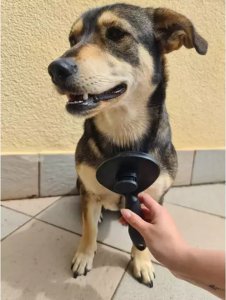 Purlov Szczotka do sierści samoczyszcząca 15