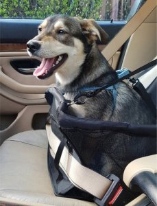 Purlov Transporter dla psa na siedzenie Purlov 20973 16