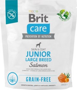 Brit Sucha karma dla psa Dog Grain-free Junior Large Breed Salmon 1 kg 1