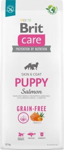 Brit Care Dog Grain-free Puppy Salmon - 12KG 1