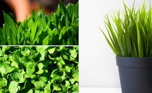 Gardlov Lampa 200 LED do wzrostu uprawy roślin 3