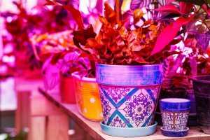 Gardlov Lampa 200 LED do wzrostu uprawy roślin 34