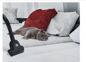 Odkurzacz Hoover TXL20PET011 14