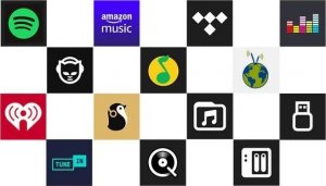 Arylic ARYLIC A50+ odtwarzacz sieciowy wzmacniacz 100W 5