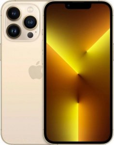 Smartfon Apple iPhone 13 Pro Max 6/256GB Dual SIM Złoty Powystawowy 3