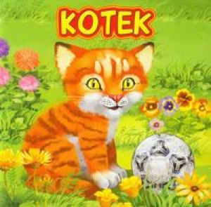 Kotek (92627) 1