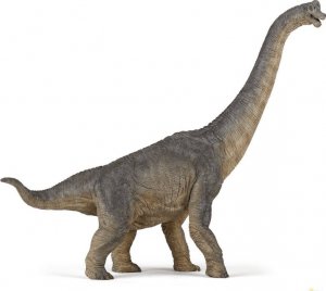 Figurka Hedo Figurka kolekcjonerska Dinozaur Brachiozaur, Papo 1