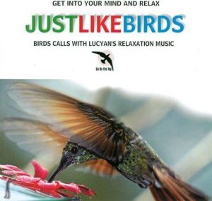 Like The Birds CD - 240368 1