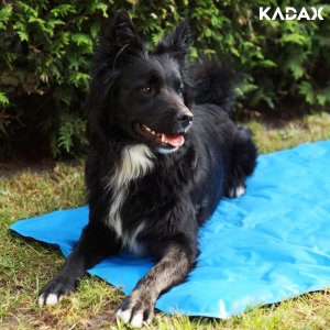 Kadax DUŻA MATA CHŁODZĄCA DLA PSA KOTA LEGOWISKO 65x50 5