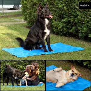 Kadax DUŻA MATA CHŁODZĄCA DLA PSA KOTA LEGOWISKO 65x50 9