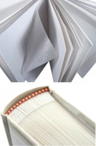 Goldbuch Album 08003 Just married 30x31 60 pages | corners/stickers | 2