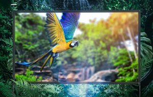 Ekran do projektora Blitzwolf Przenośny ekran projekcyjny BlitzWolf BW-VS6 80"/100" 5