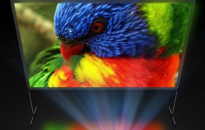 Ekran do projektora Blitzwolf Przenośny ekran projekcyjny BlitzWolf BW-VS6 80"/100" 6