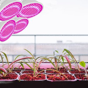 Lampa wisząca Heckermann Zestaw 4x Żarówka LED plant Heckermann 200LED 18WLED - 20W + Uchwyt 4