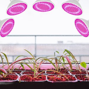 Lampa wisząca Heckermann Zestaw 5x Żarówka LED plant Heckermann 200LED 18WLED - 20W + Uchwyt 6