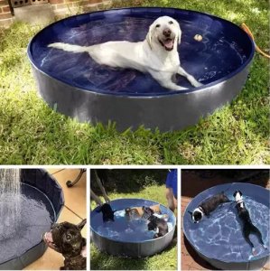 Purlov Basen dla psa składany 100x30 (20929) 6