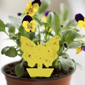 Repest Lep na owady- 12szt. Repest 19053 2