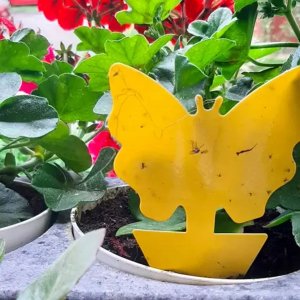 Repest Lep na owady- 12szt. Repest 19053 25