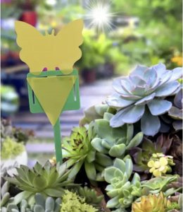 Repest Lep na owady- 12szt. Repest 19053 27