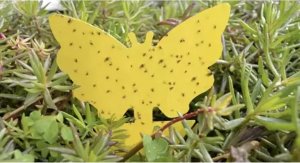 Repest Lep na owady- 12szt. Repest 19053 28