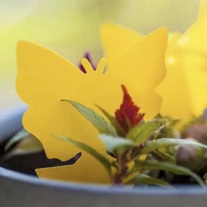 Repest Lep na owady- 12szt. Repest 19053 32