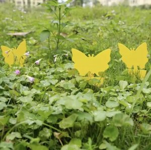 Repest Lep na owady- 12szt. Repest 19053 7