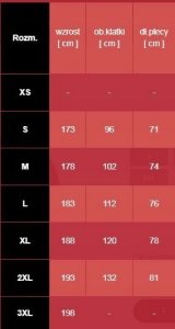 Adidas Koszulka męska adidas Campeon 21 Jersey czerwona FT6763 XS 2