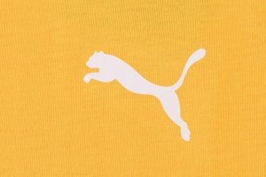 Puma Koszulka męska Puma Evostripe Lite Tee żółta 581534 25 S 2