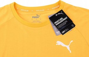 Puma Koszulka męska Puma Evostripe Lite Tee żółta 581534 25 S 4