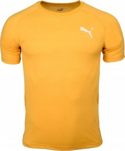 Puma Koszulka męska Puma Evostripe Lite Tee żółta 581534 25 L 1