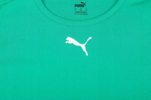 Puma Koszulka męska Puma teamRISE Jersey zielona 704932 05 M 2