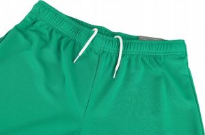 Puma Spodenki męskie Puma teamRISE Short zielone 704942 05 L 6