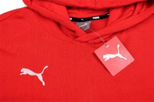 Puma Bluza dla dzieci Puma teamGOAL 23 Casuals Hoody Jr czerwona 656711 01 152 3