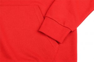 Puma Bluza dla dzieci Puma teamGOAL 23 Casuals Hoody Jr czerwona 656711 01 152 4