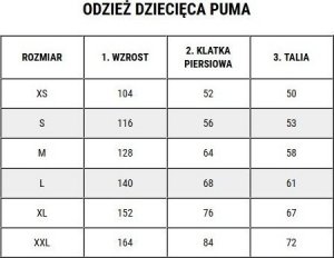 Puma Bluza dla dzieci Puma teamGOAL 23 Casuals Hoody Jr czarna 656711 03 152 8