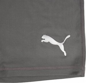 Puma Spodenki męskie Puma Liga Baselayer Short Tight szare 655924 17 L 2