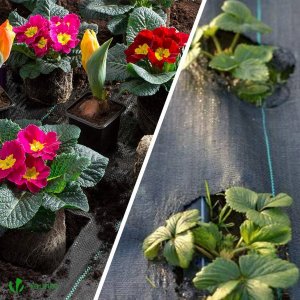 Heckermann Zestaw Agrotkanina Heckermann 0,8x50m 90g/m2 Czarna + Kołki czarne 20 szt 2