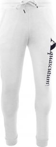 Aquascutum Dresowe spodnie marki Aquascutum model PAAI01 kolor Biały. Odzież Męskie. Sezon: Wiosna/Lato XL 1