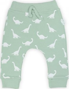 NICOL Spodnie dresowe niemowlęce dla chłopca Iwo Nicol 116 1