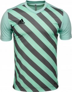Adidas Koszulka dla dzieci adidas Entrada 22 Graphic Jersey miętowo-szara HF0127 164cm 1
