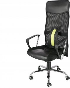 HMS PRP02 GREEN PRZYRZĄD DO ROZCIĄGANIA PLECÓW Z MAGNESAMI HMS 13