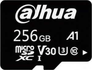 Karta Dahua Technology TF-L100 SDXC 256 GB Class 10  (TF-L100-256GB) 1