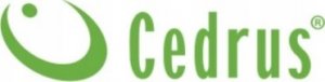 Glebogryzarka Cedrus Glebogryzarka GL01 CEDRUS Spalinowa + 7-elementowy zestaw akcesoriów 22