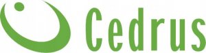 Glebogryzarka Cedrus Glebogryzarka GL01 CEDRUS Spalinowa + 7-elementowy zestaw akcesoriów 4