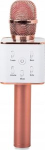 Mikrofon Verk Karaoke 3