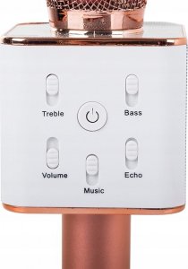 Mikrofon Verk Karaoke 6