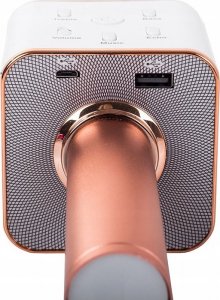 Mikrofon Verk Karaoke 7